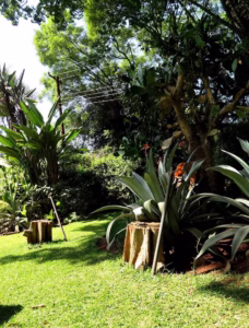 Utility-ready Lavington land for sale with sewer and water connections