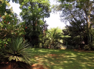 Investment opportunity Lavington land for sale for developers in Nairobi
