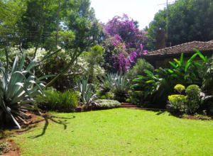 Prime Lavington land for sale with mature trees and landscaped gardens